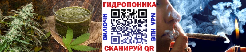 купить наркотик  Курган  kraken как войти  Печенье с ТГК конопля 