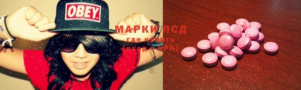 крисы Магас