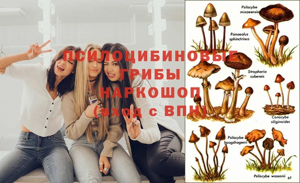 хмурый Медвежьегорск
