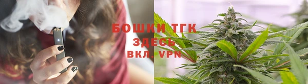 крисы Магас
