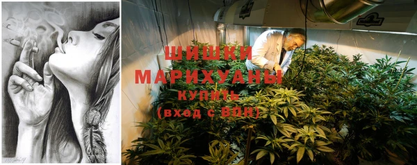 крисы Магас