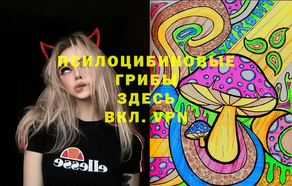метамфетамин Майский
