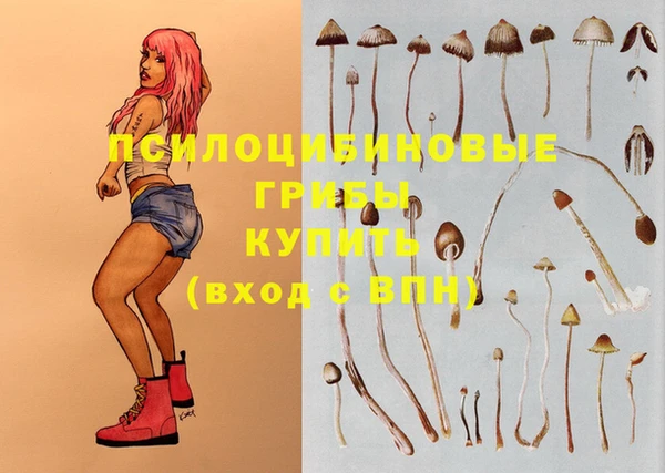 крисы Магас