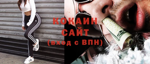 крисы Магас