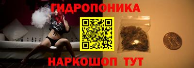 дживик Дубна