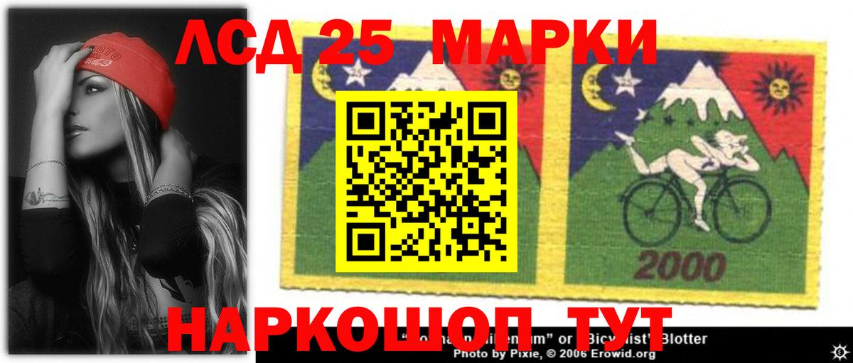 KRAKEN как войти  ЛСД экстази ecstasy  ЛСД экстази  Курган  Лсд 25 экстази ecstasy 