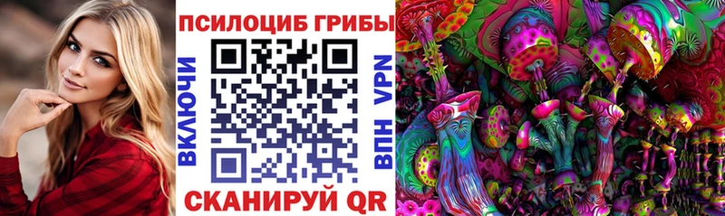 блэк спрут как войти  где можно купить наркотик  Курган  Псилоцибиновые грибы мицелий 