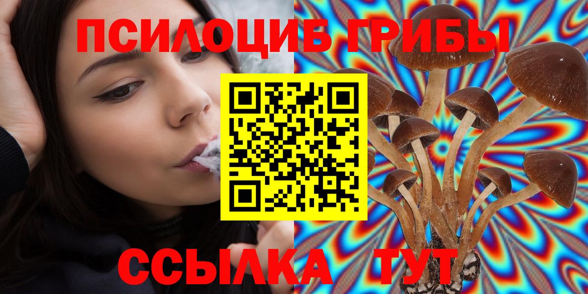 цены наркотик  Псилоцибиновые грибы GOLDEN TEACHER  Псилоцибиновые грибы GOLDEN TEACHER  Вход с VPN  Курган 