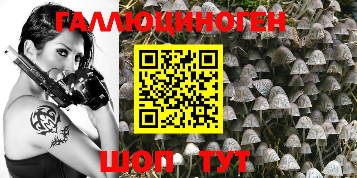 Галлюциногенные грибы мухоморы  Курган 