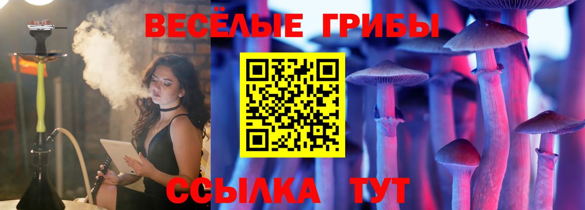 Псилоцибиновые грибы GOLDEN TEACHER Курган