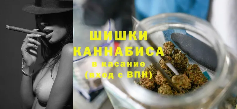 где можно купить   Курган  Бошки марихуана Bruce Banner 